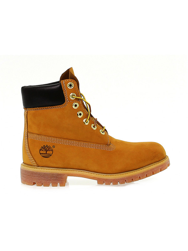 Polacco Timberland 