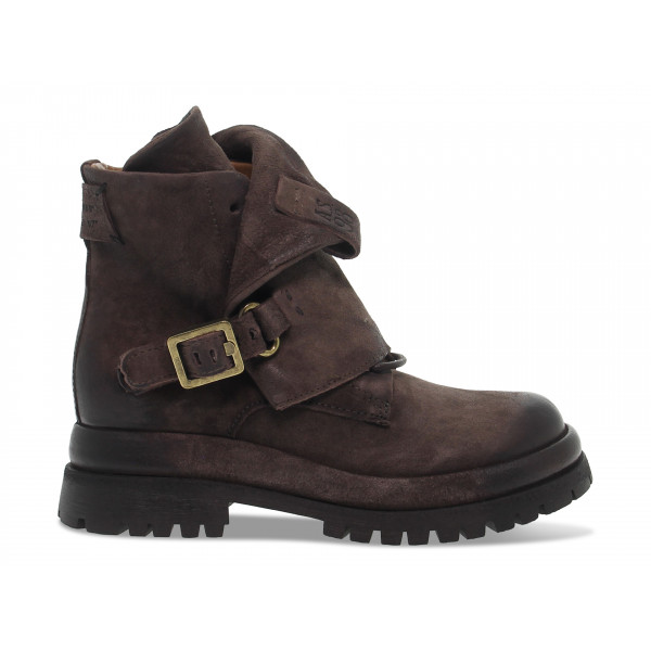 Polacco A.S.98 - testa di moro Donna Polacco